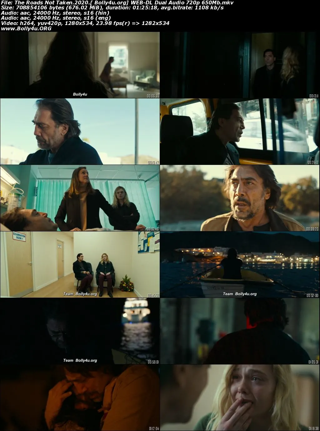 The Roads Not Taken 2020 WEB-DL Hindi Dual Audio 720p 480p Download