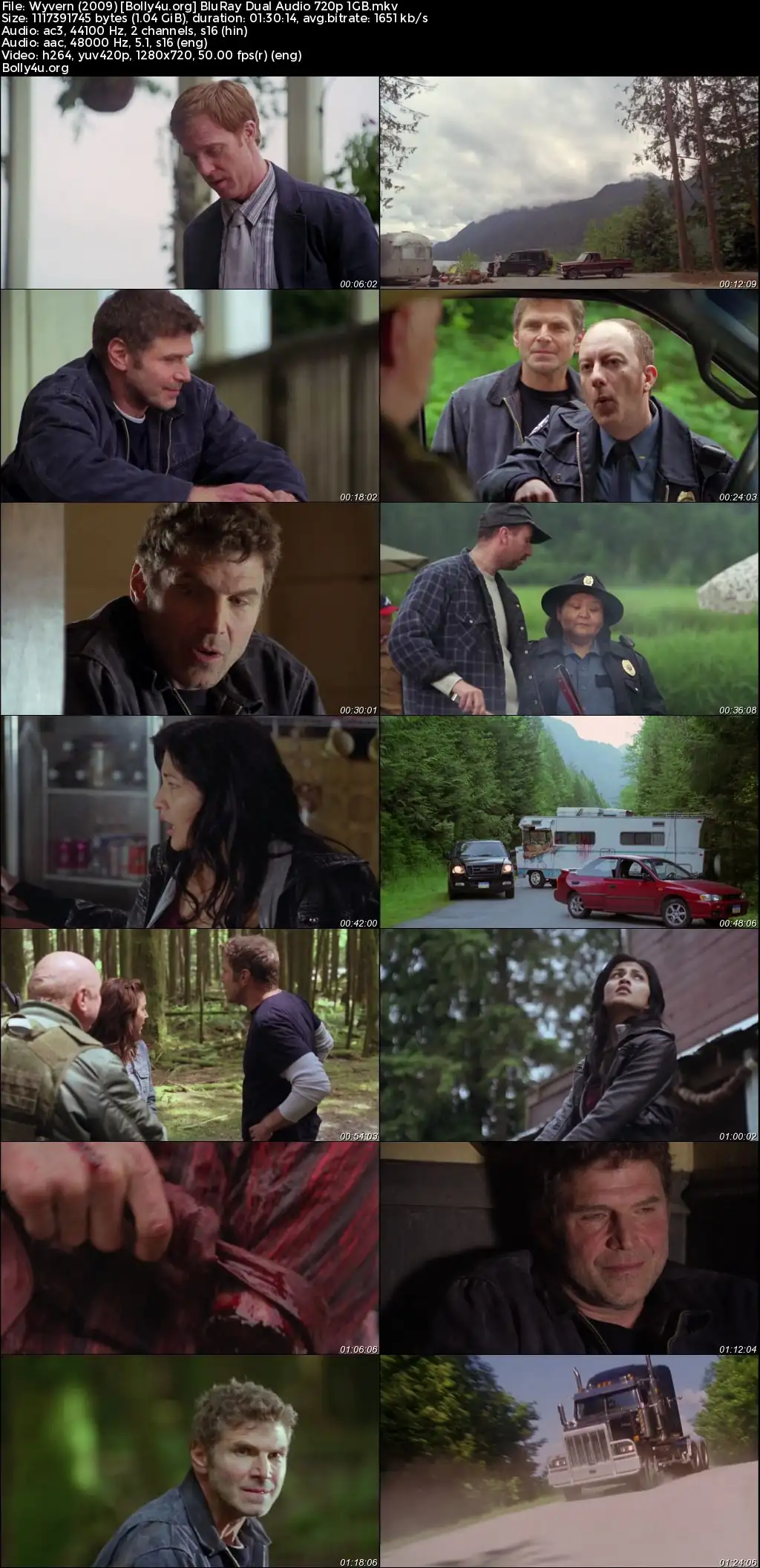 Wyvern 2009 BluRay Hindi Dual Audio Full Movie Download 720p  480p