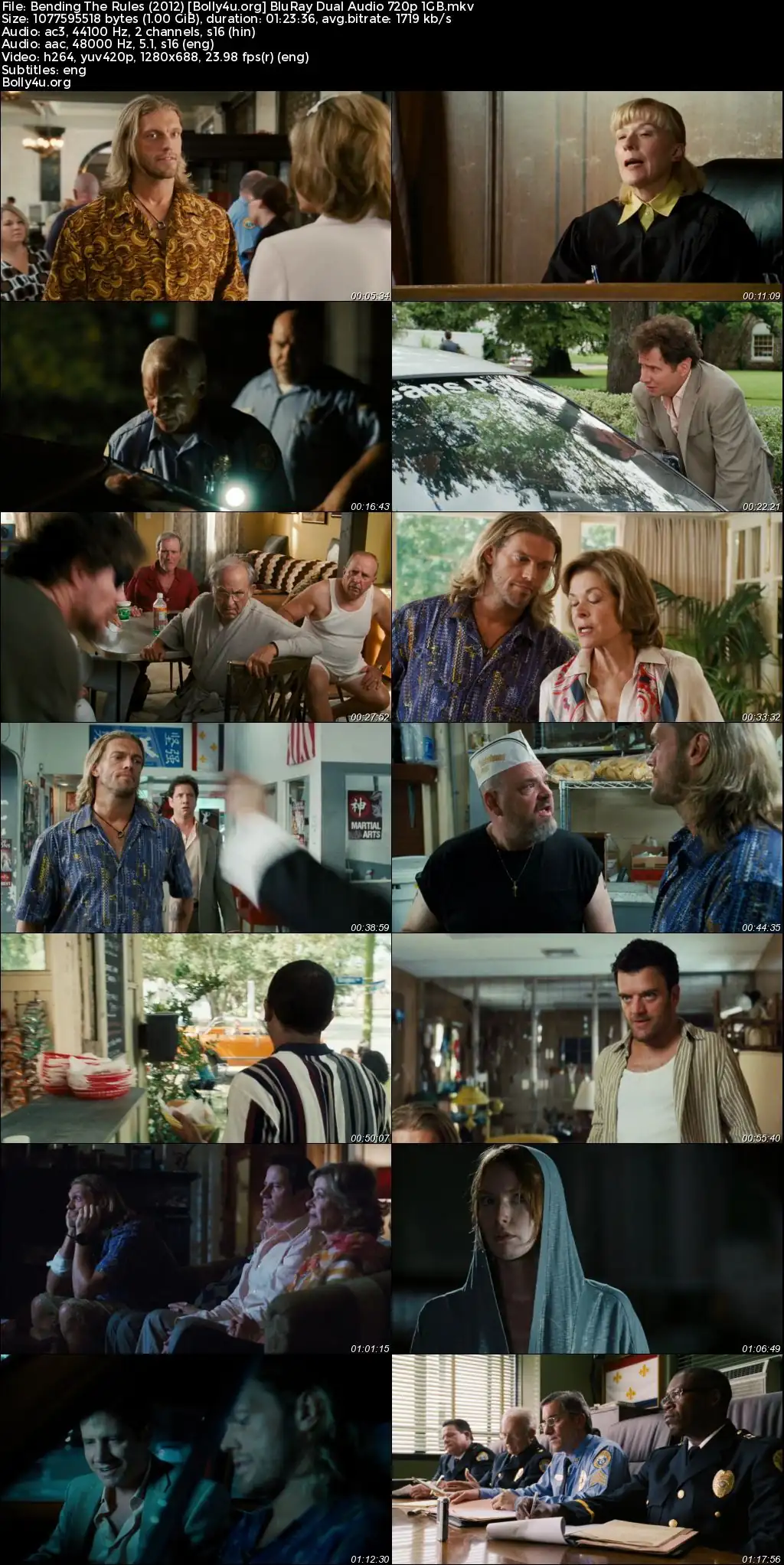 Bending The Rules 2012 BluRay Hindi Dual Audio Full Movie Download 720p  480p