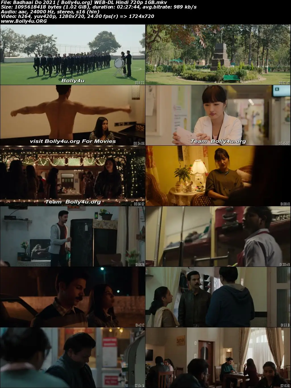 Badhaai Do 2022 WEB-DL Hindi Movie Download 720p  480p