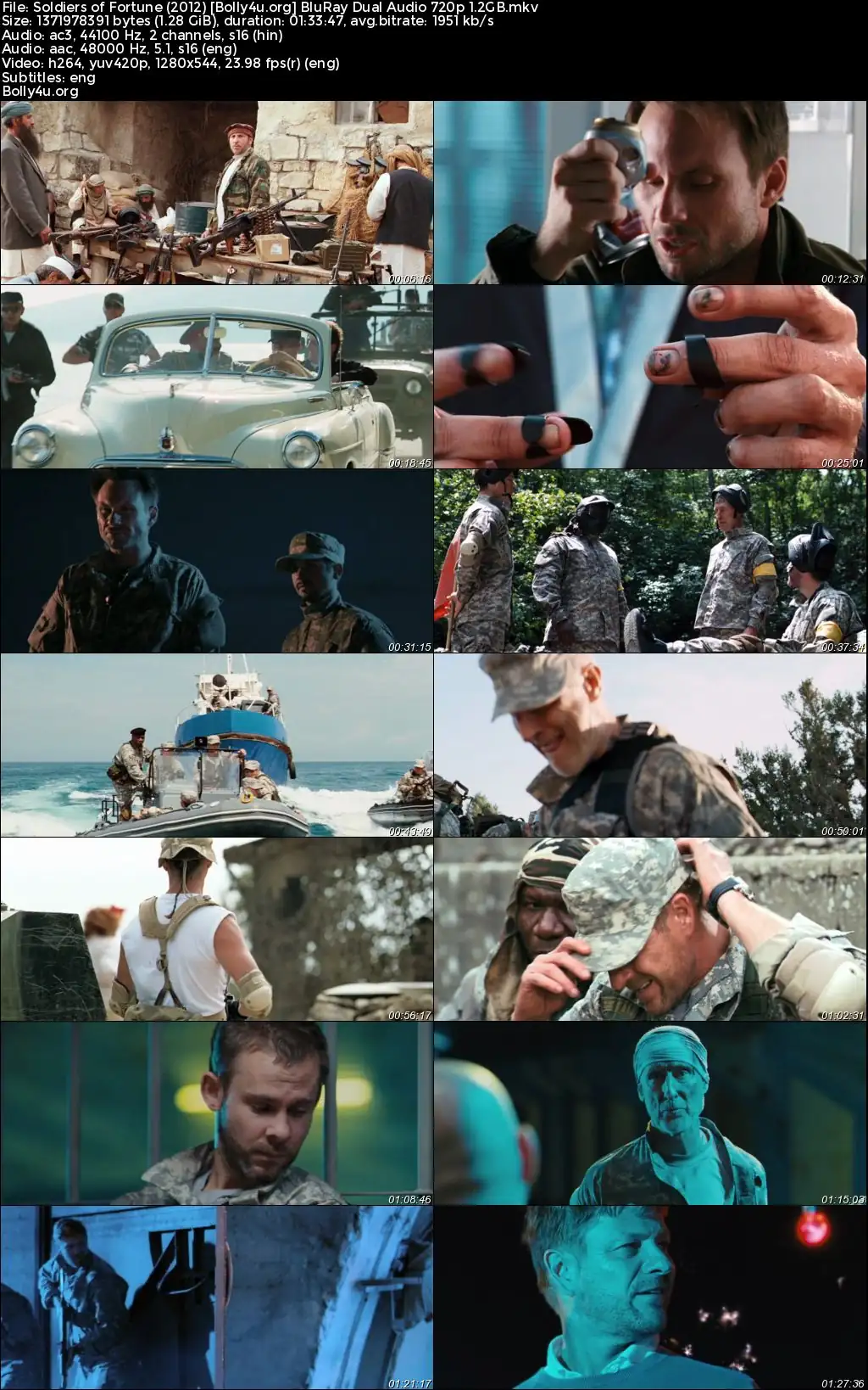 Soldiers of Fortune 2012 BluRay Hindi Dual Audio Full Movie Download 720p  480p
