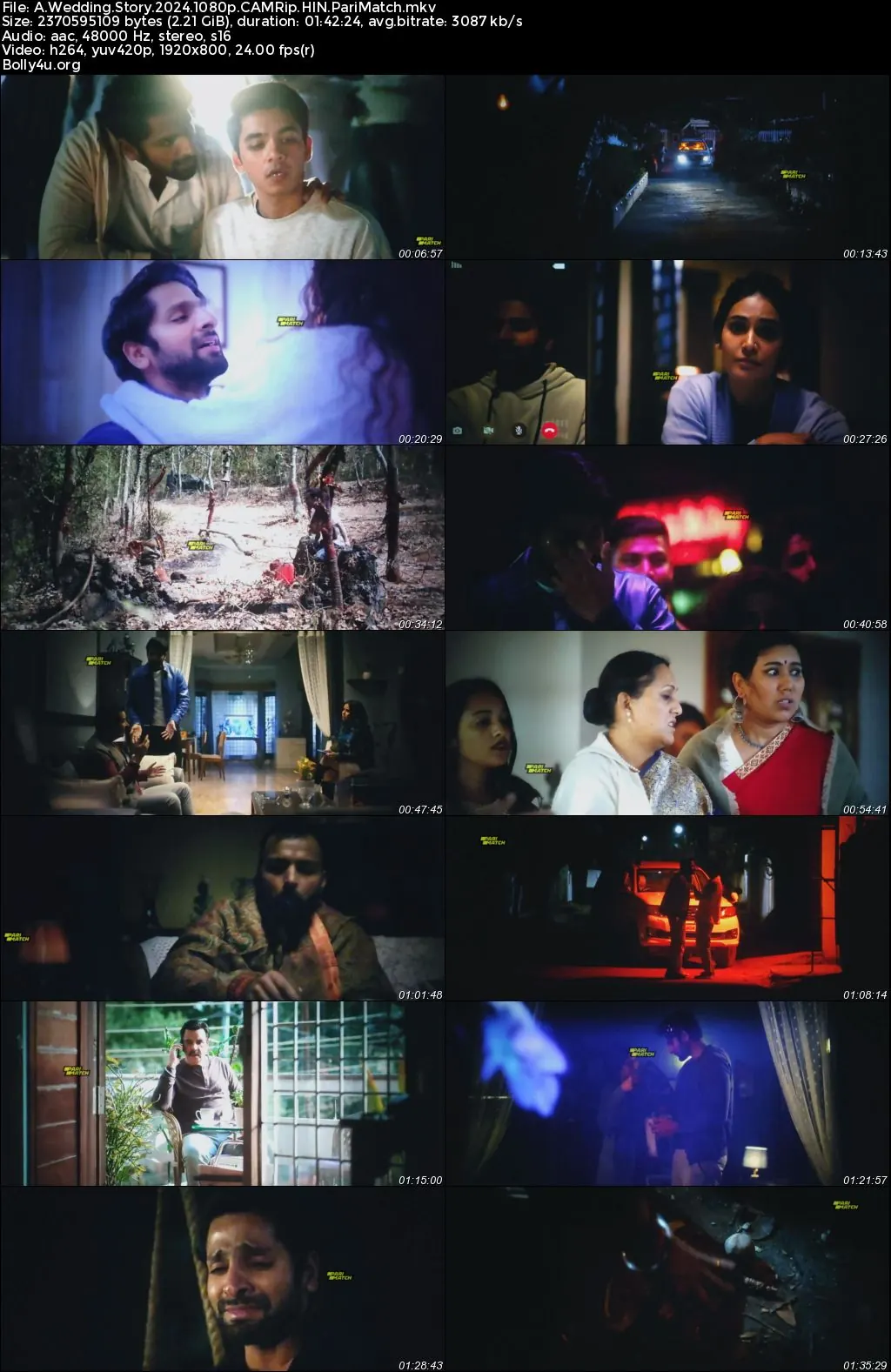 A Wedding Story 2024 HDTS Hindi Full Movie Download 1080p  720p  480p