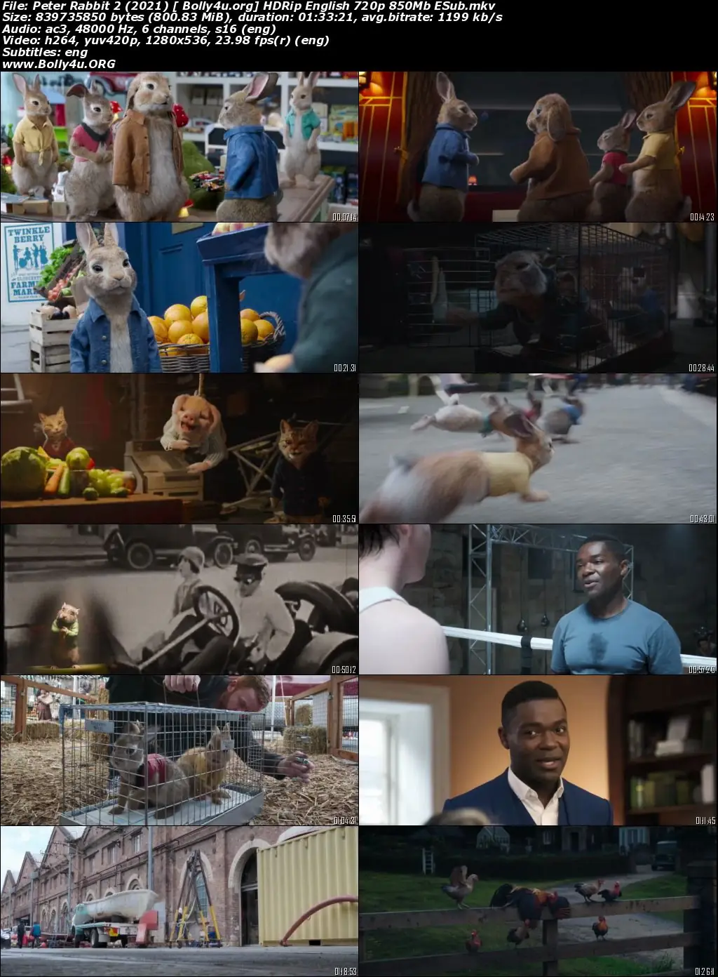 Peter Rabbit 2 2021 HDRip 800MB English 720p ESubs Download