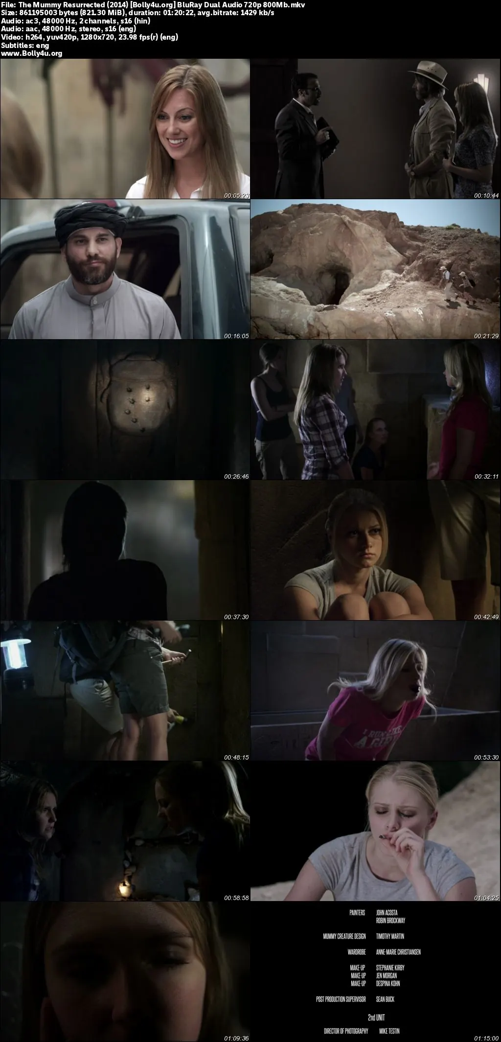 The Mummy Resurrected 2014 BluRay Hindi Dual Audio Full Movie Download 720p  480p
