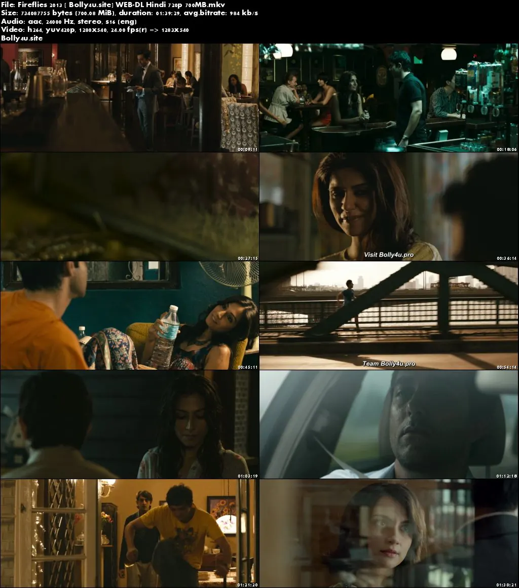 Fireflies 2013 WEB-DL 700MB Hindi 720p Download