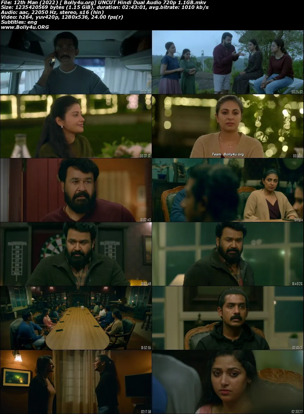 12th Man 2022 WEB-DL Hindi HQ Dub Full Movie Download