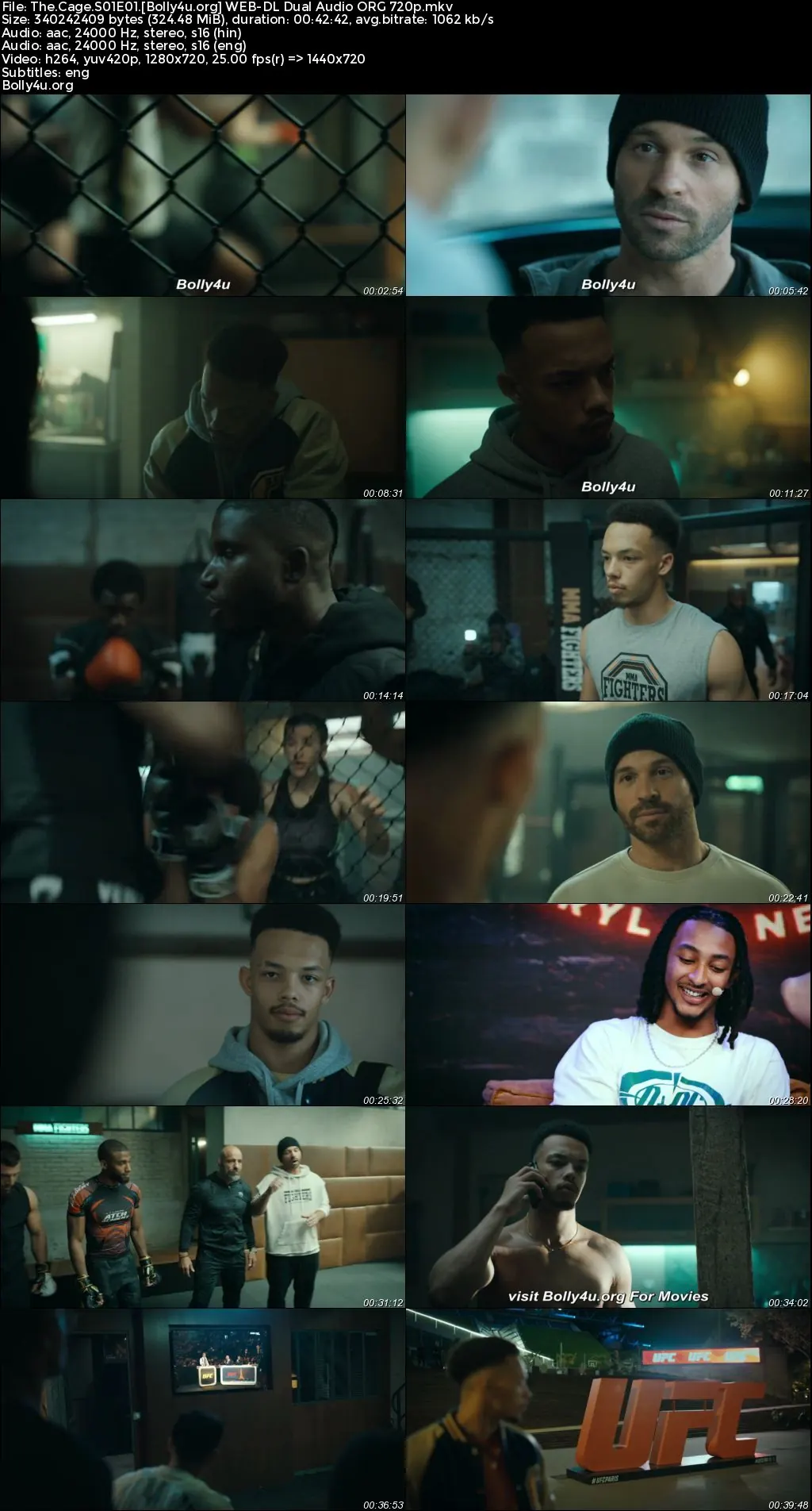 The Cage 2024 WEB-DL Hindi Dual Audio ORG S01 Complete Download 720p  480p