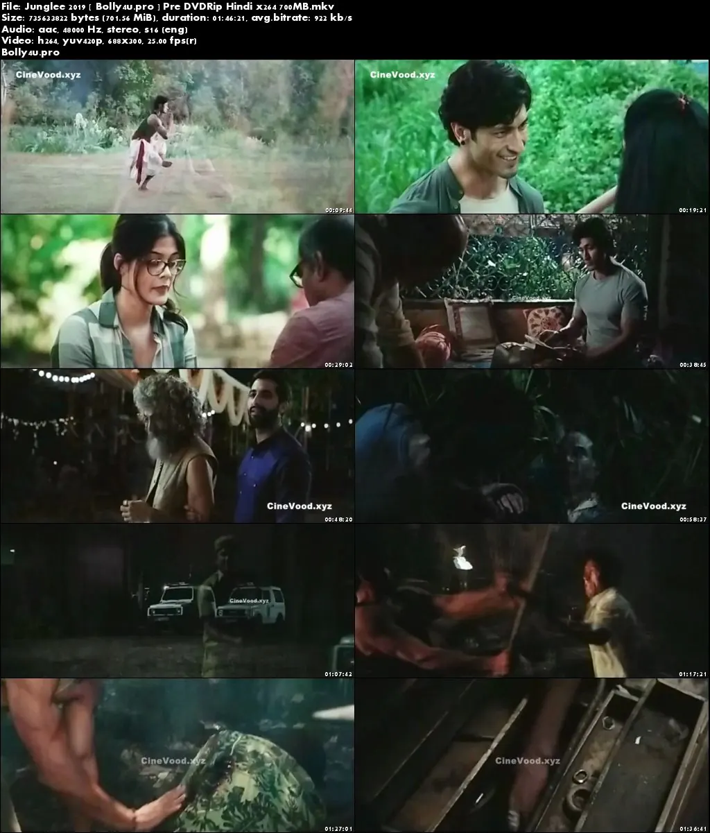 Junglee 2019 Pre DVDRip 300MB Full Hindi Movie Download 480p