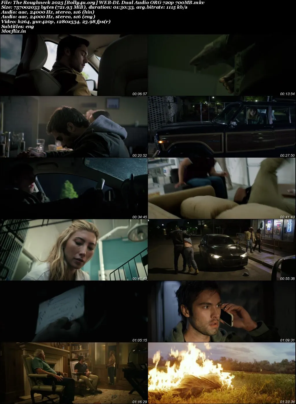 The Roughneck 2025 WEB-DL Hindi Dual Audio ORG Full Movie Download 1080p  720p  480p