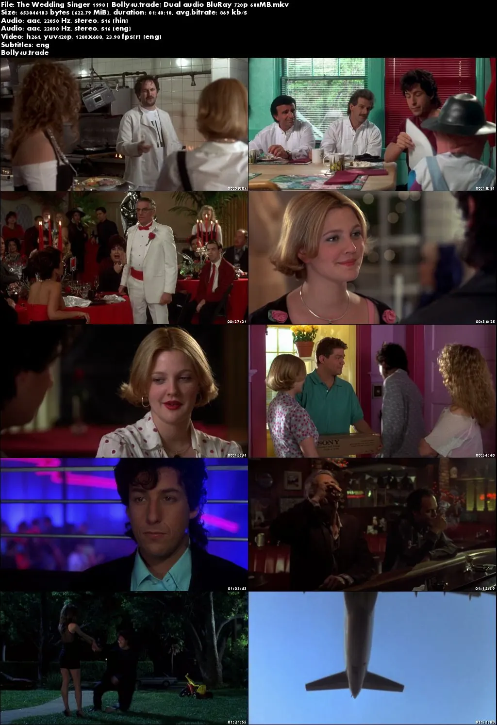The Wedding Singer 1998 BluRay 300MB Hindi Dual Audio 480p Download