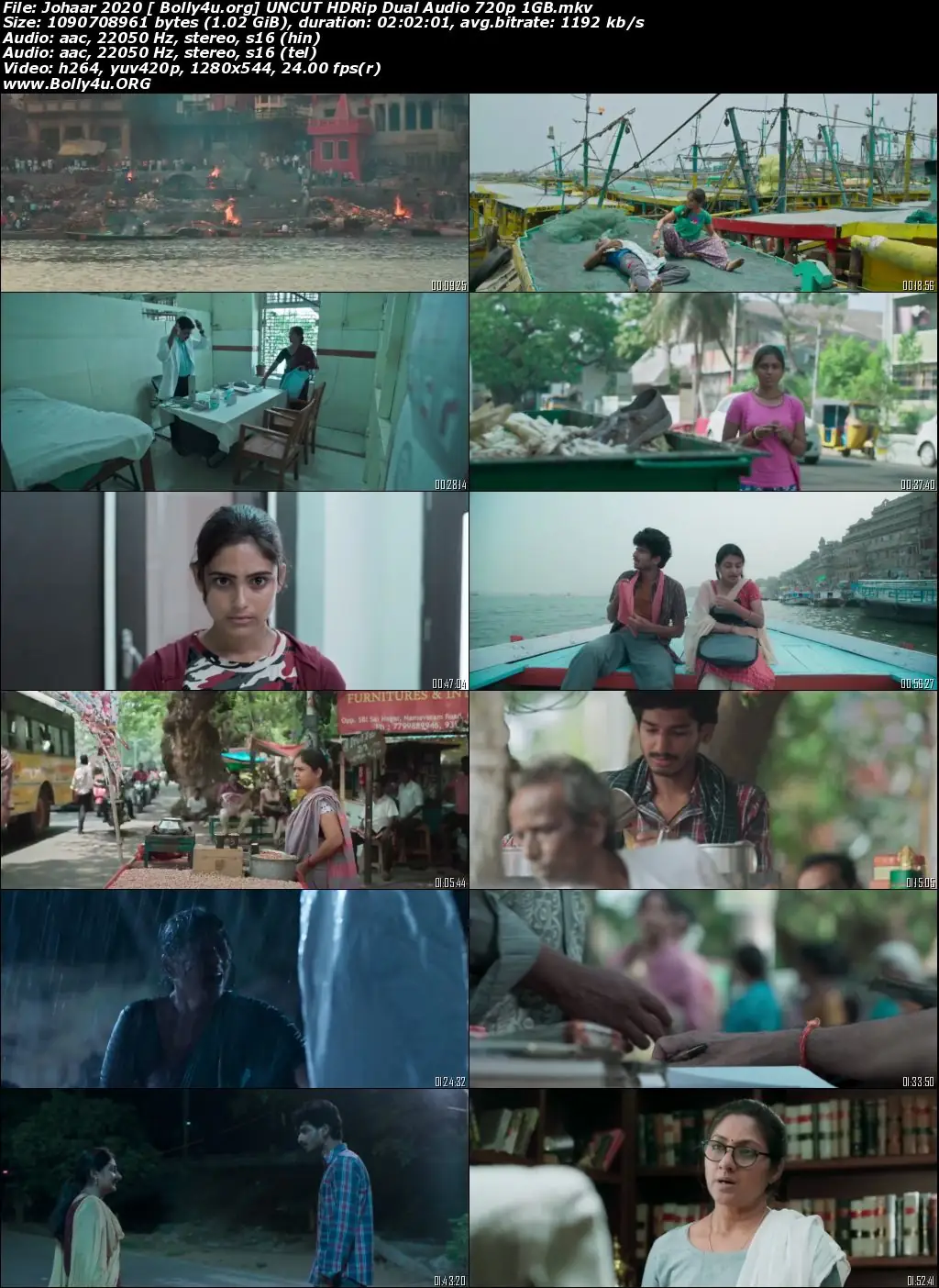 Johaar 2020 HDRip 400MB UNCUT Hindi Dual Audio 480p Download