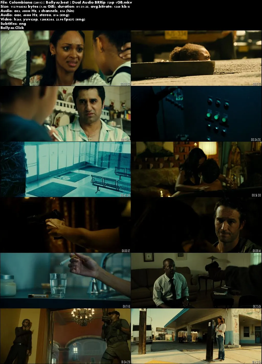 Colombiana 2011 BRRip 300MB Hindi Dual Audio 480p Download