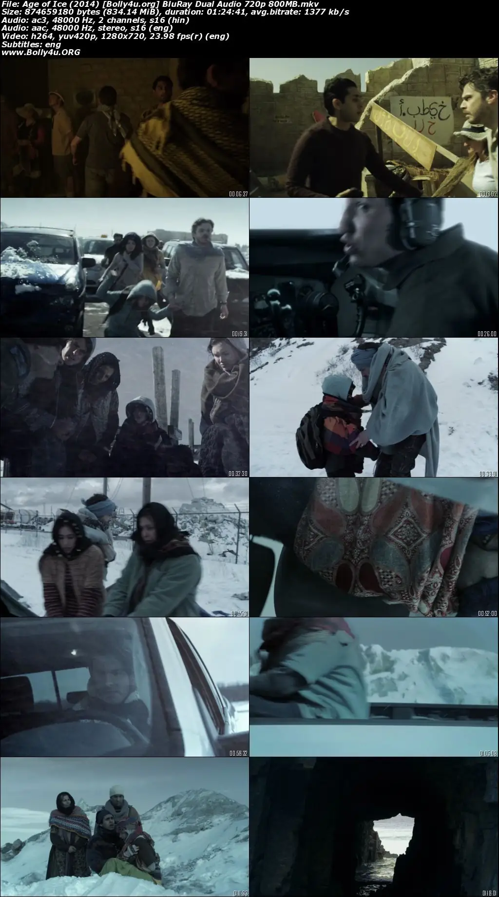 Age of Ice 2014 BRRip Hindi Dual Audio 720p 480p Download