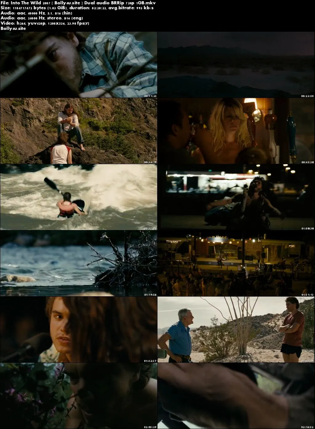 Into The Wild 2007 BRRip 1GB Hindi Dual Audio 720p Download