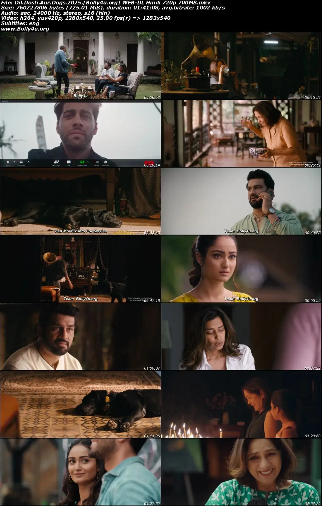 Dil Dosti Aur Dogs 2025 WEB-DL Hindi Full Movie Download 1080p  720p  480p