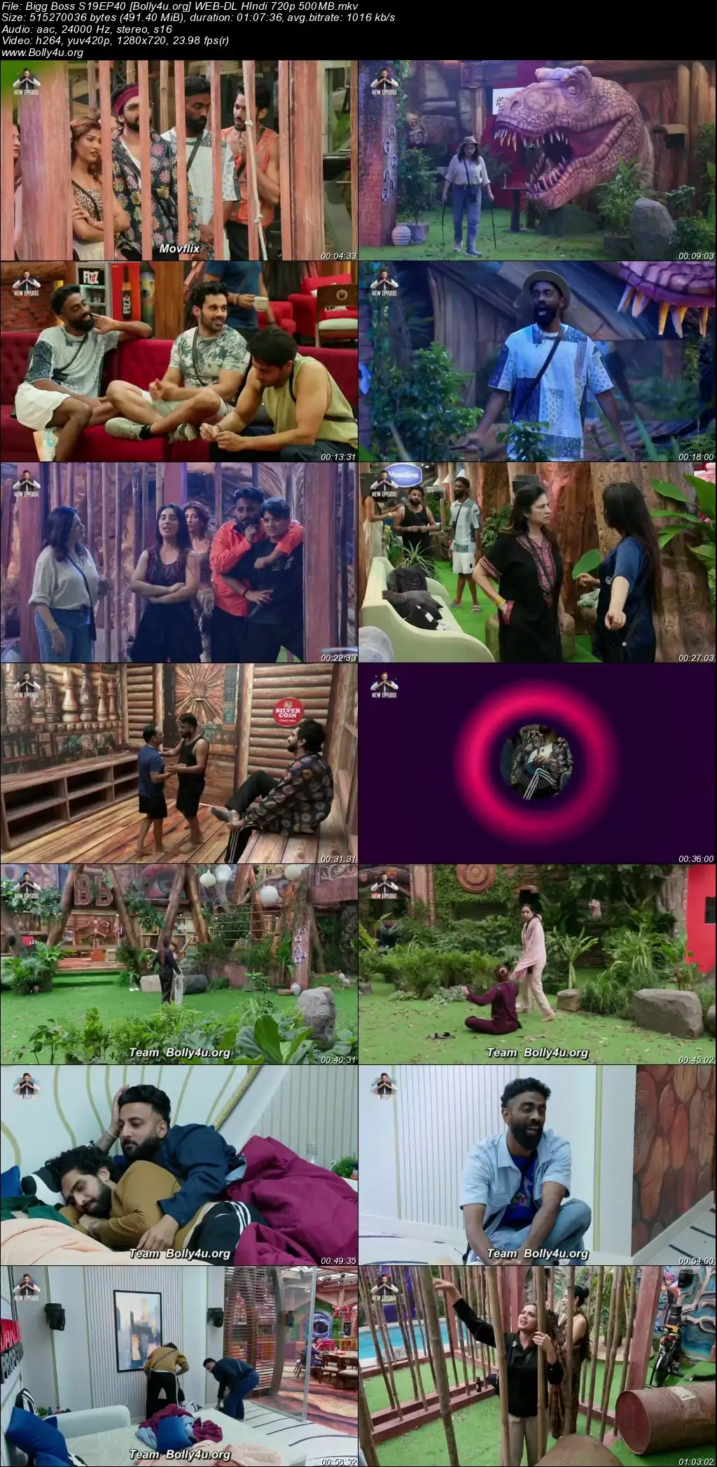 Bigg Boss 2025 WEB-DL Hindi S19EP40 Download 720p  480p