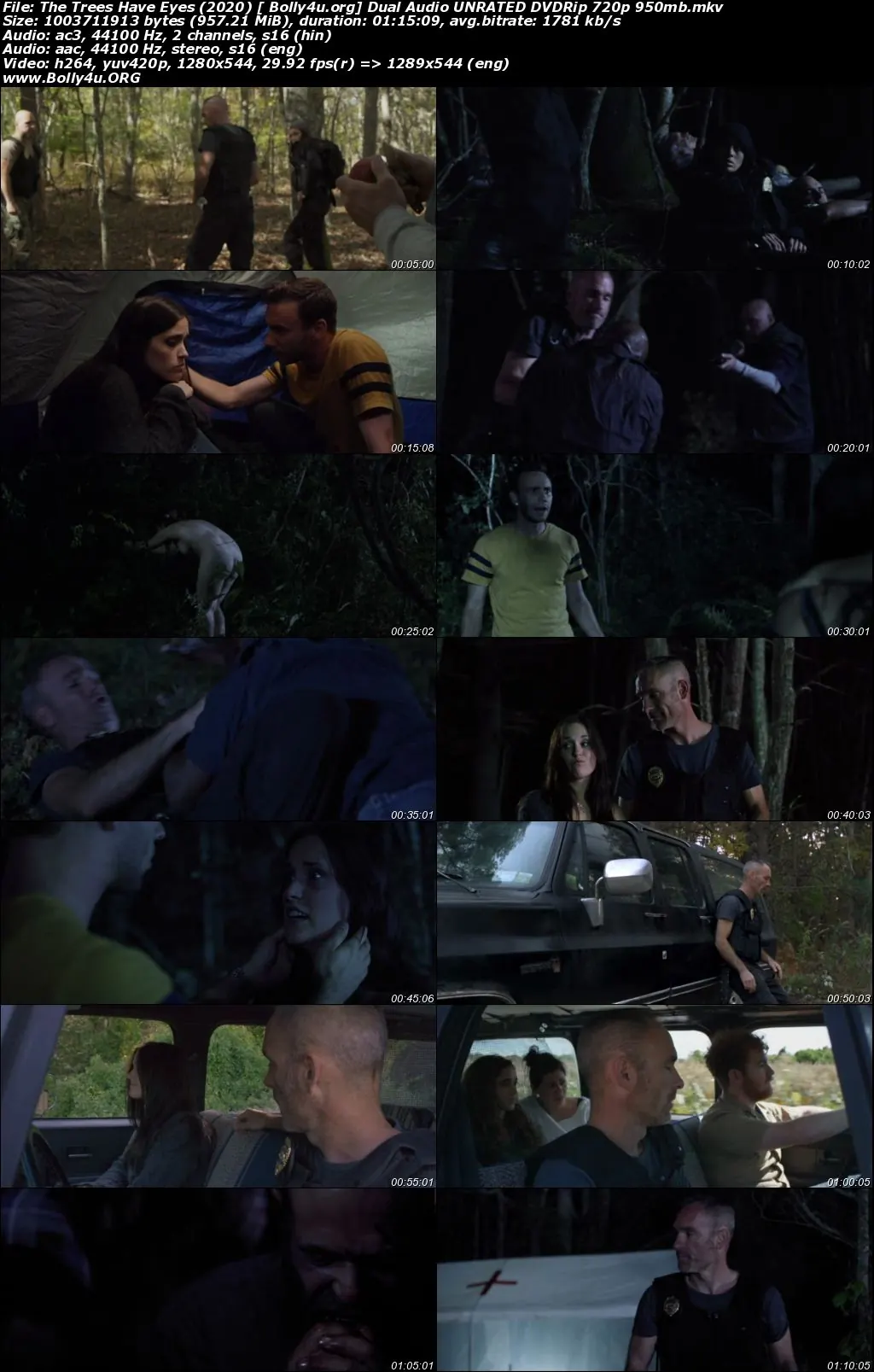 The Trees Have Eyes 2020 DVDRip 250MB UNRATED Hindi Dual Audio 480p Download