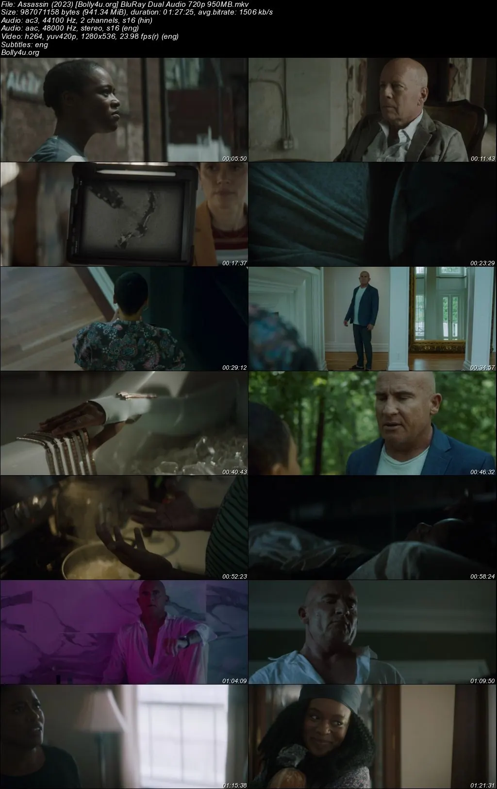 Assassin 2023 BluRay Hindi Dual Audio Full Movie Download 720p  480p