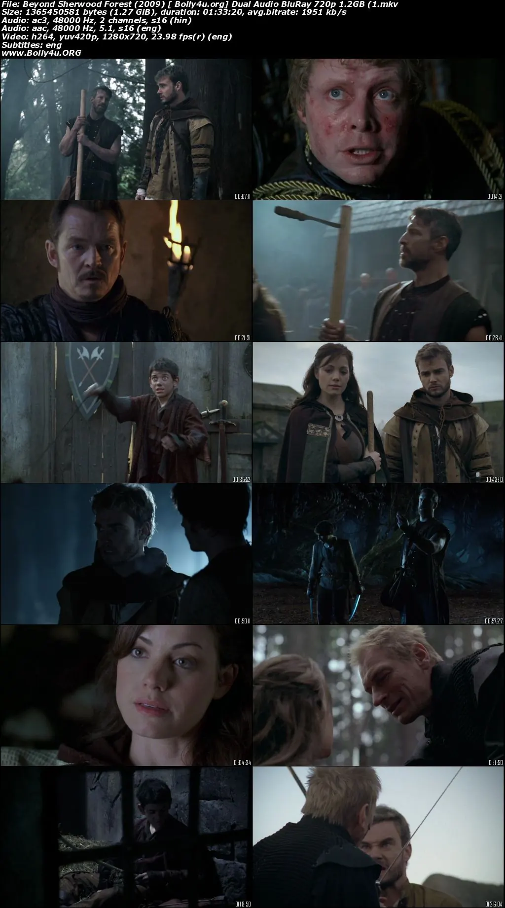 Beyond Sherwood Forest 2009 BluRay 300Mb Hindi Dual Audio 480p Download