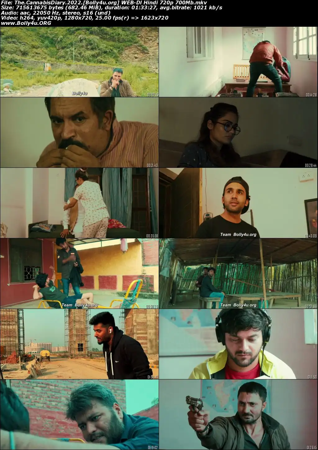 The Cannabis Diary 2022 Hindi Full Movie Download