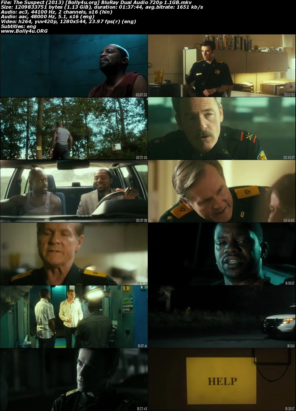 The Suspect 2013 BluRay Hindi Dual Audio Full Movie Download