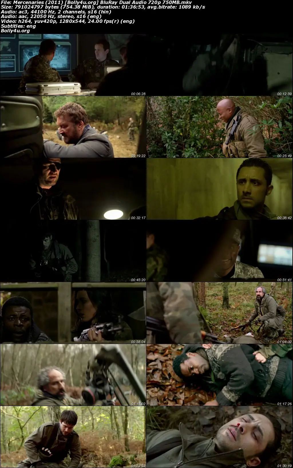 Mercenaries 2011 BluRay Hindi Dual Audio Full Movie Download 720p  480p