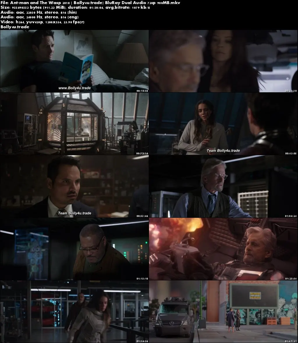 Ant-Man and The Wasp 2018 BluRay 300MB Hindi Dual Audio ORG 480p Download