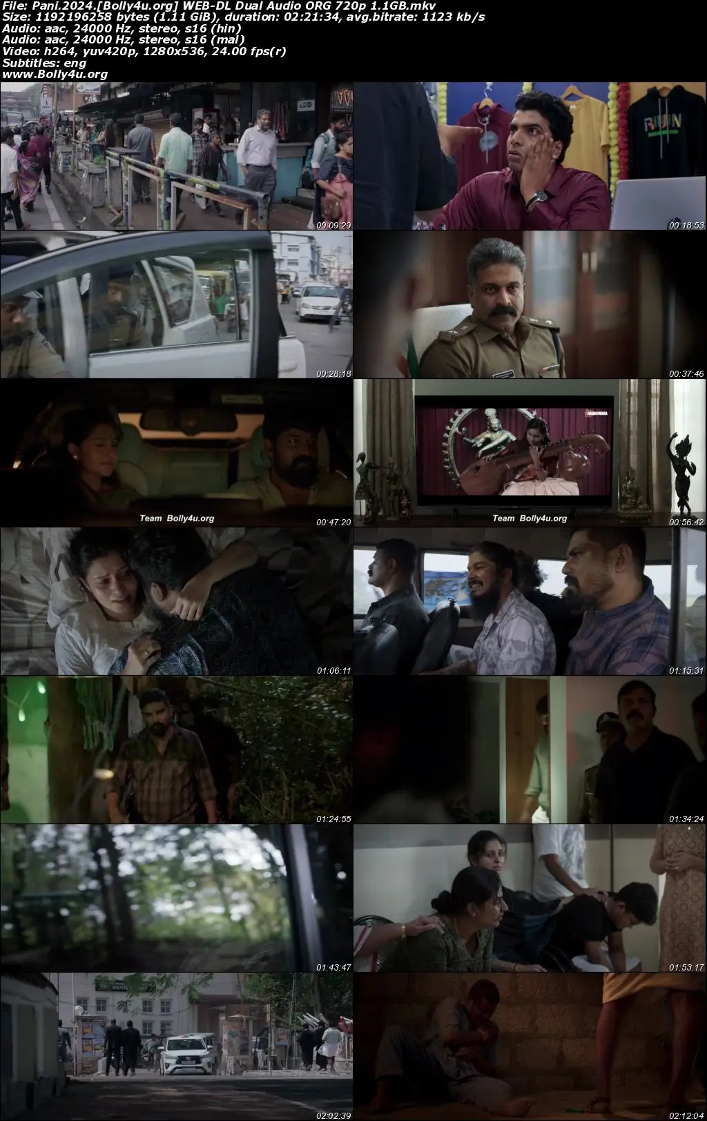 Pani 2024 WEB-DL UNCUT Hindi Dual Audio ORG Full Movie Download 1080p  720p  480p