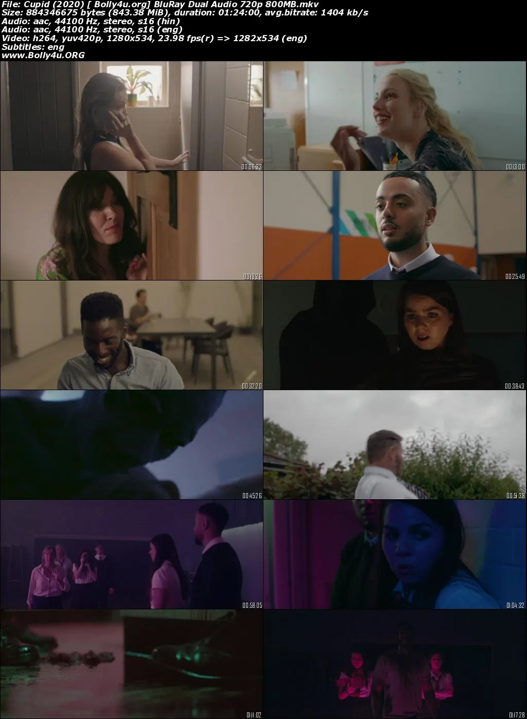 Cupid 2020 BuRay 300Mb Hindi Dual Audio 480p Download