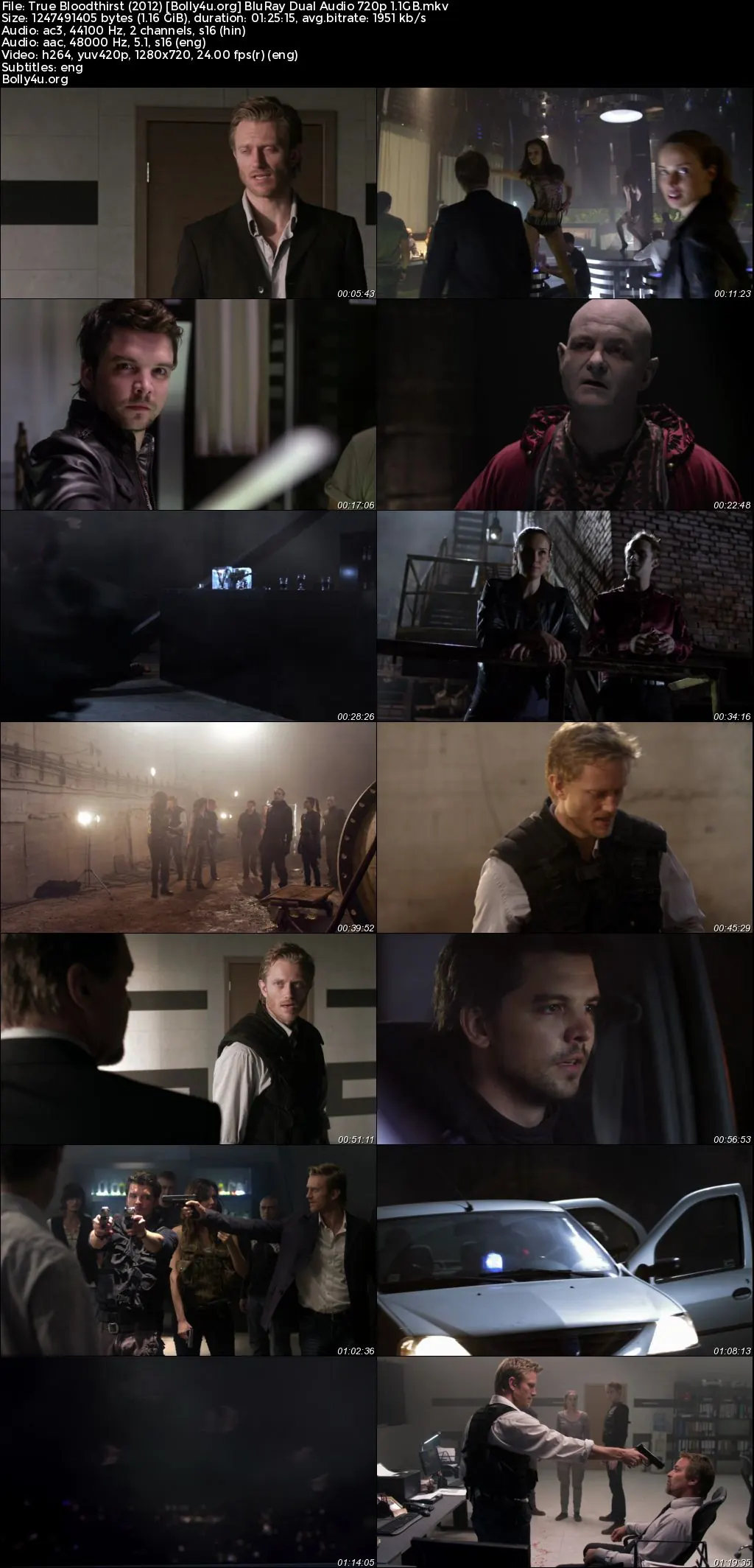 True Bloodthirst 2012 BluRay Hindi Dual Audio Full Movie Download 720p  480p