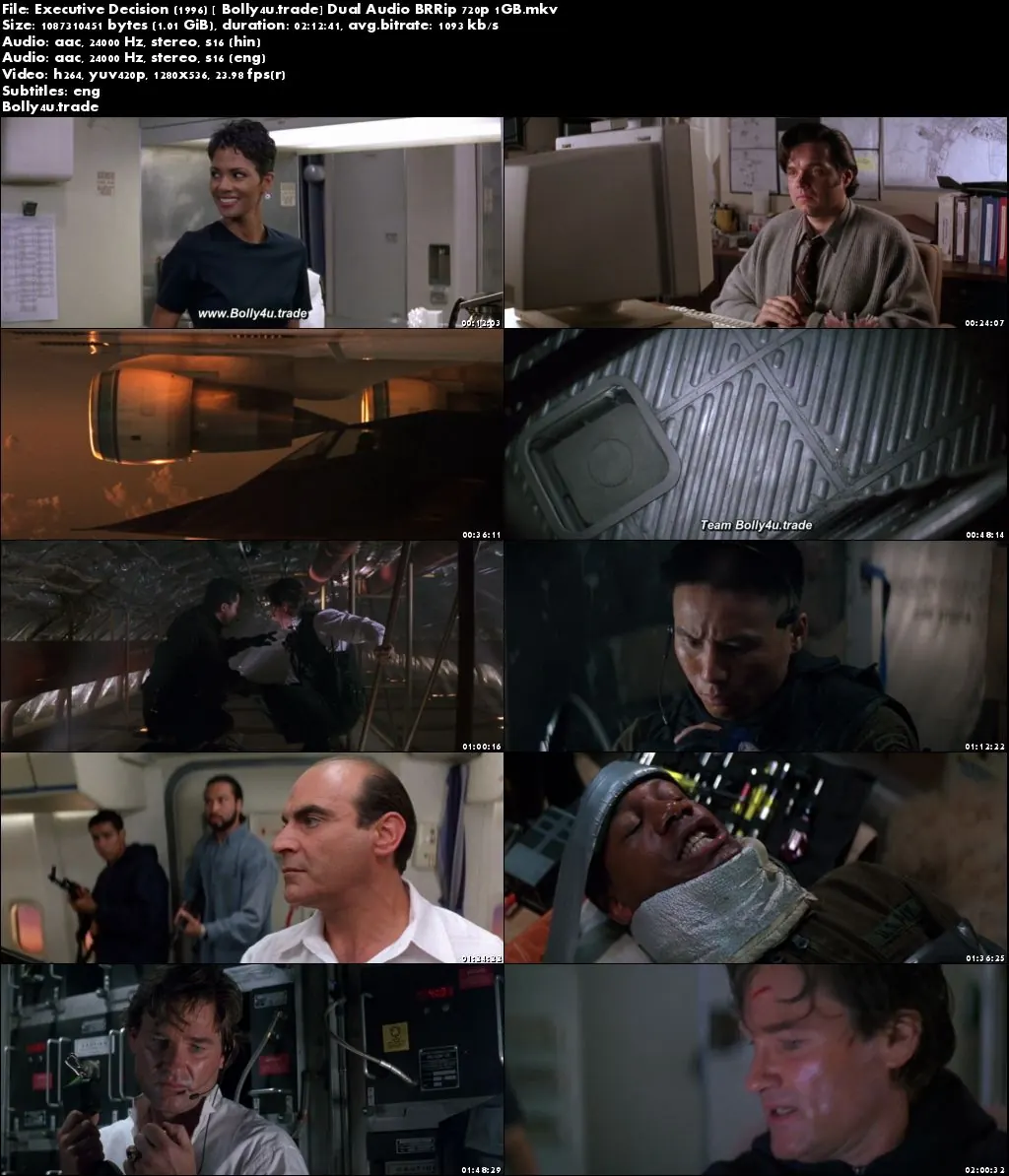 Executive Decision 1996 BluRay 400Mb Hindi Dual Audio 480p Download