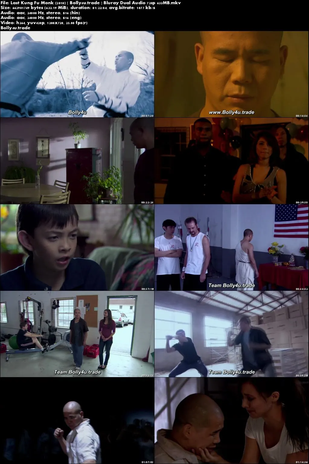  Last Kung Fu Monk 2010 BluRay 280MB Hindi Dual Audio 480p Download