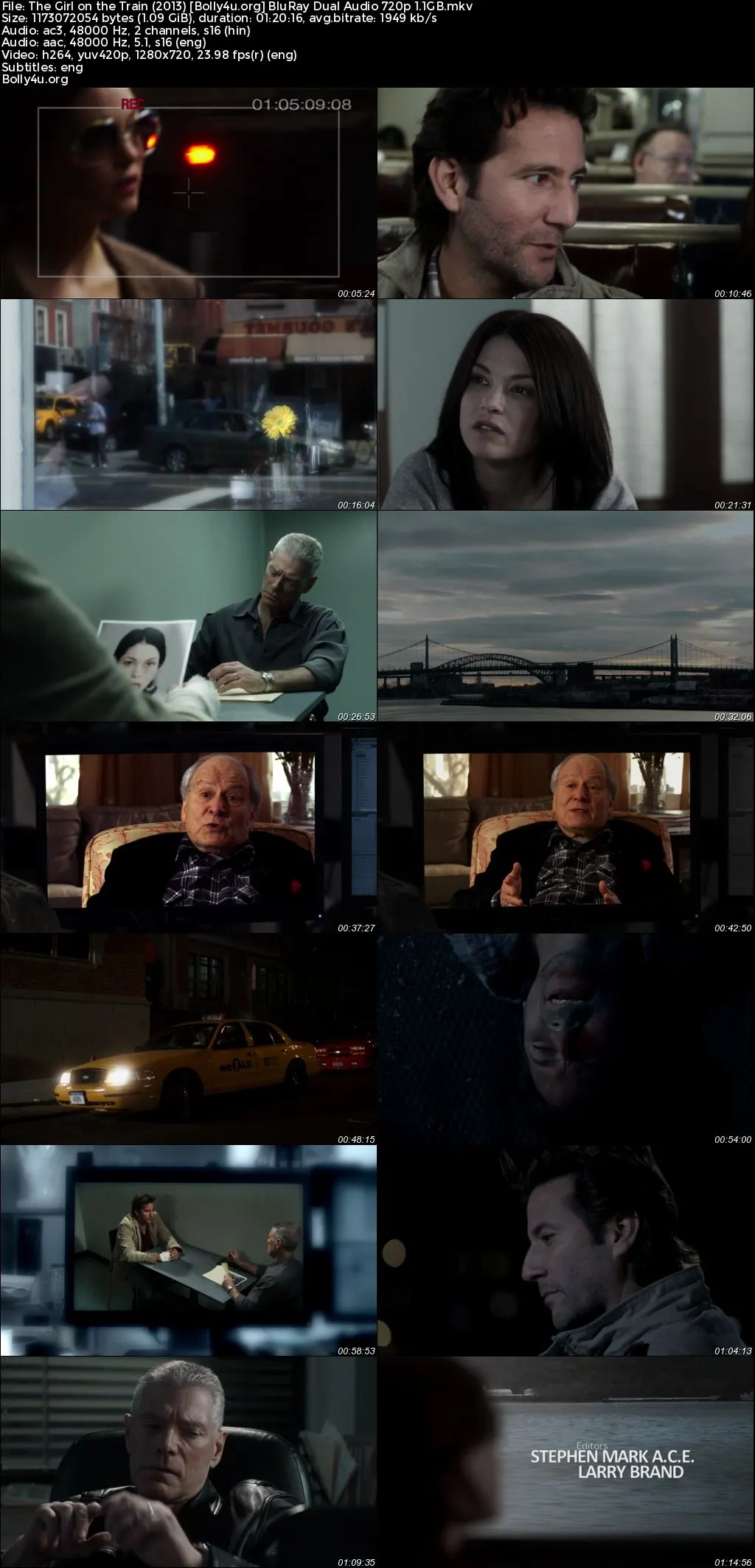 The Girl on the Train 2013 BluRay Hindi Dual Audio Full Movie Download 720p  480p