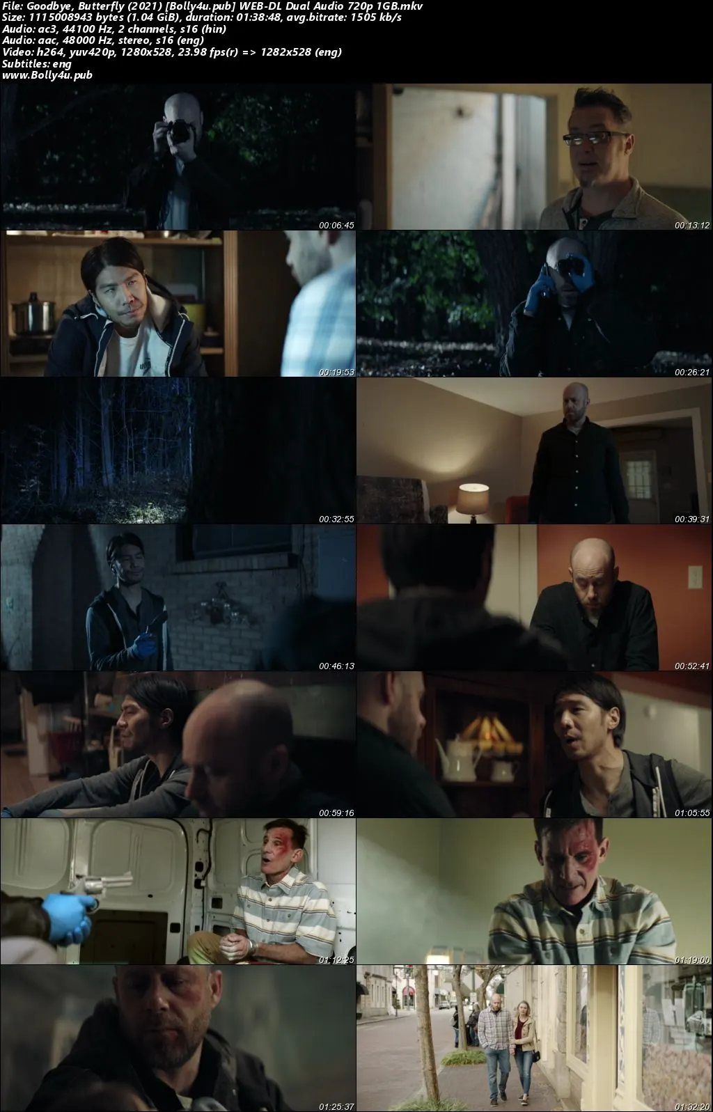 Goodbye Butterfly 2021 WEB-DL Hindi Dual Audio Full Movie Download 720p  480p
