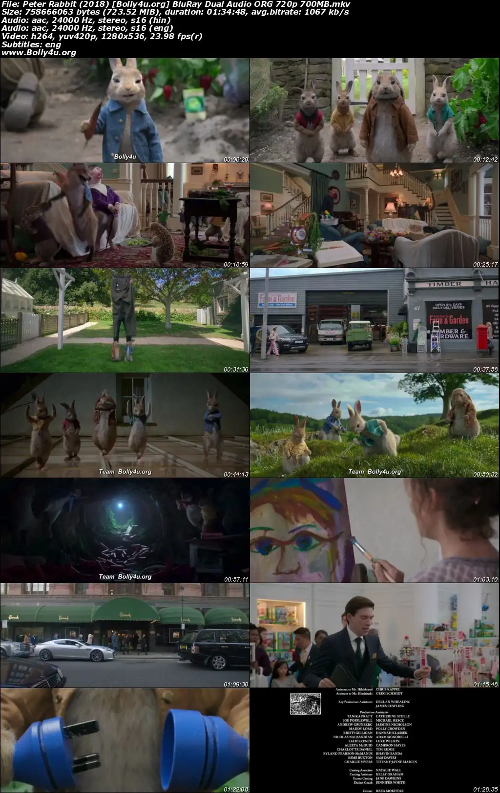 Peter Rabbit 2018 BluRay Hindi Dual Audio ORG Full Movie Download 1080p  720p  480p