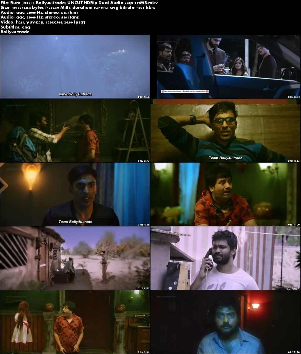 Rum 2017 HDRip 400Mb UNCUT Hindi Dubbed Dual Audio 480p Download