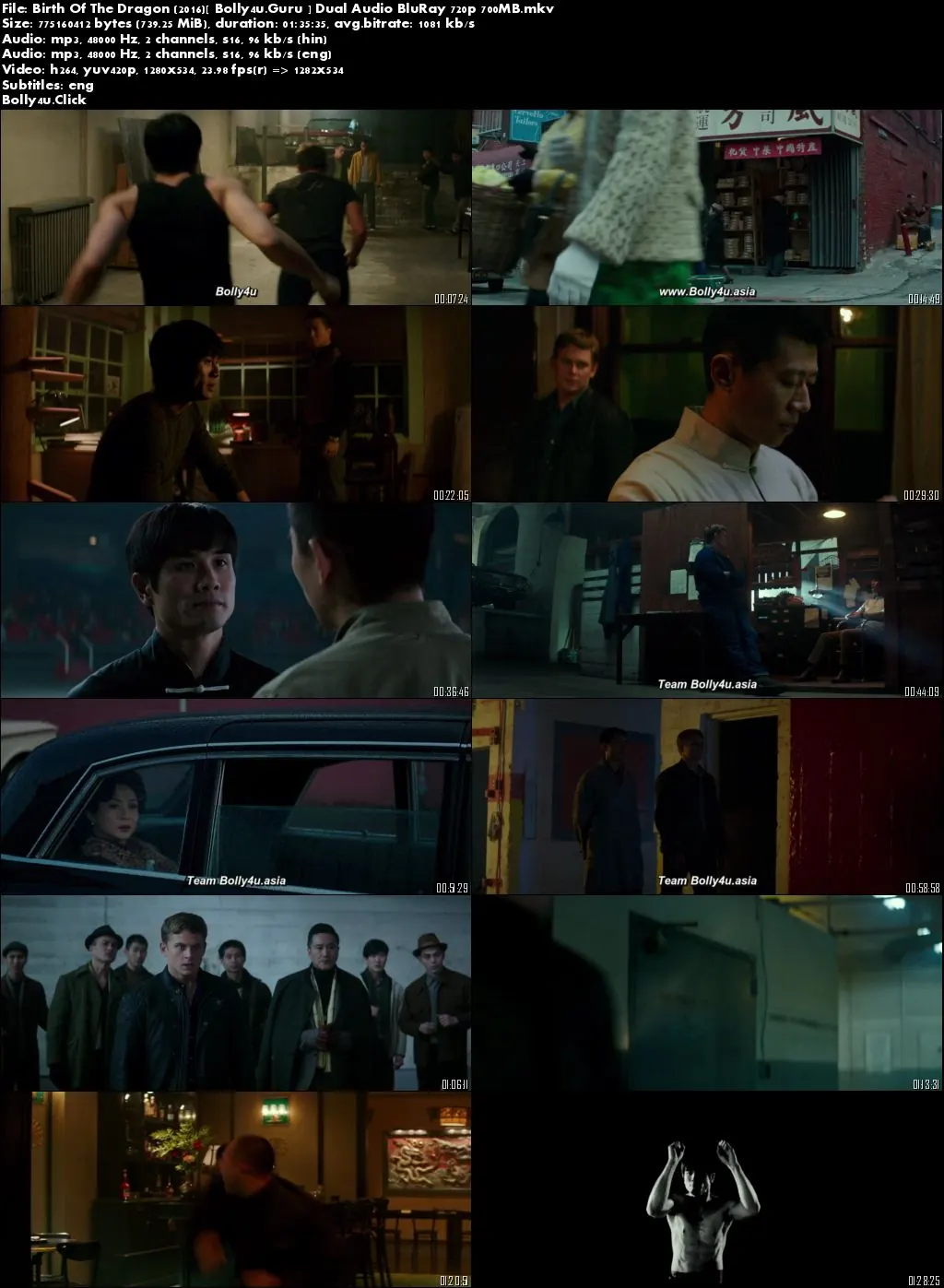 Birth Of The Dragon 2016 BluRay 700Mb Hindi Dual Audio 720p ESub Download
