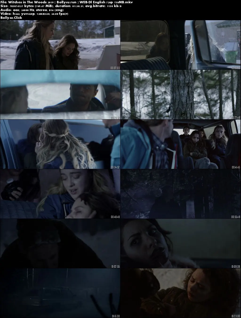 Witches in The Woods 2019 WEB-DL 280MB English 480p Download
