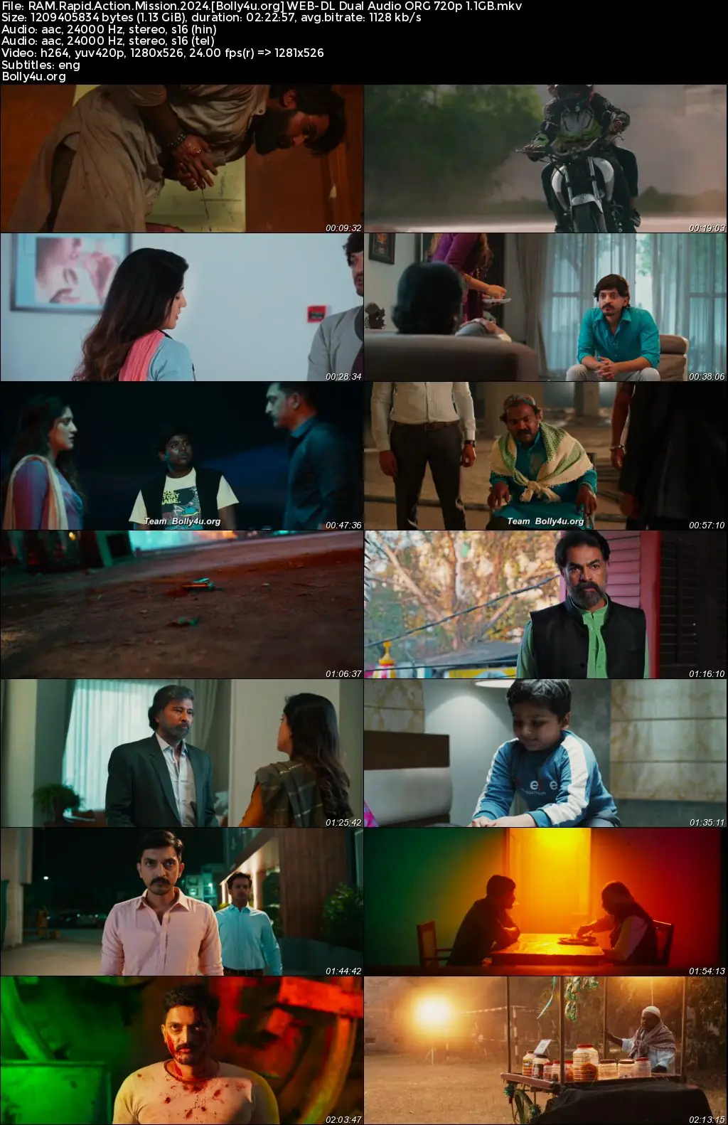 RAM Rapid Action Mission 2024 WEB-DL UNCUT Hindi Dual Audio ORG Full Movie Download 1080p  720p  480p