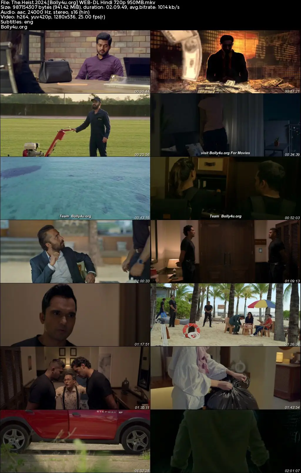 The Heist 2024 WEB-DL Hindi Full Movie Download 1080p  720p  480p