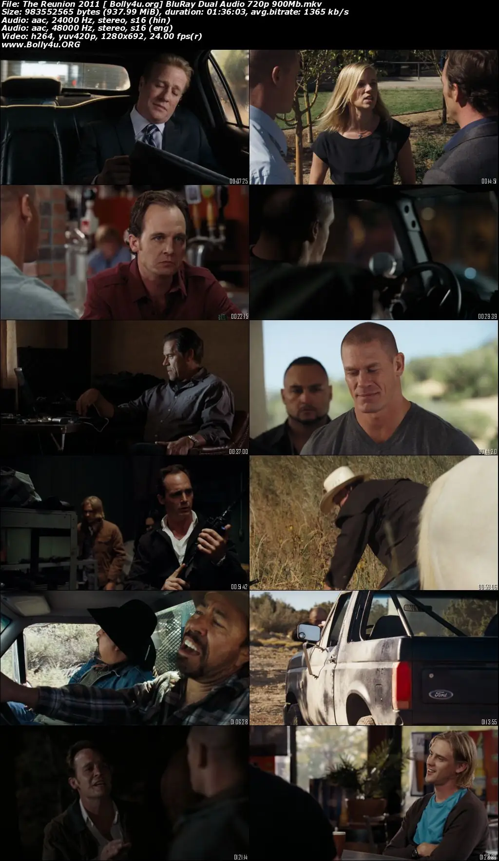 The Reunion 2011 BluRay 900Mb Hindi Dual Audio ORG 720p Download