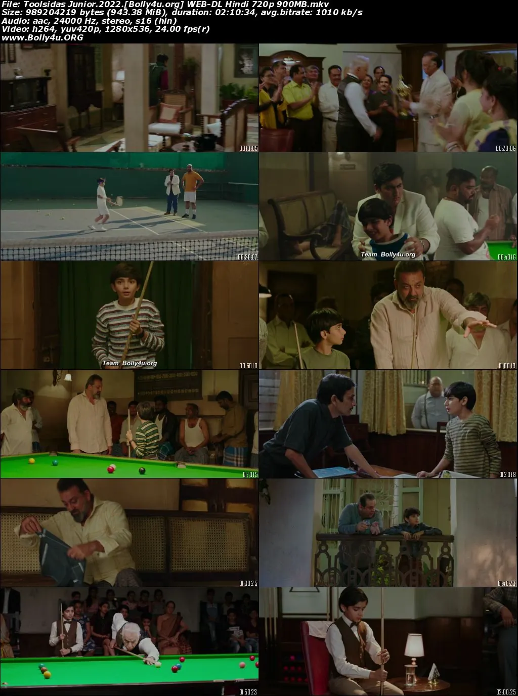 Toolsidas Junior 2022 WEB-DL Hindi Movie Download 720p  480p
