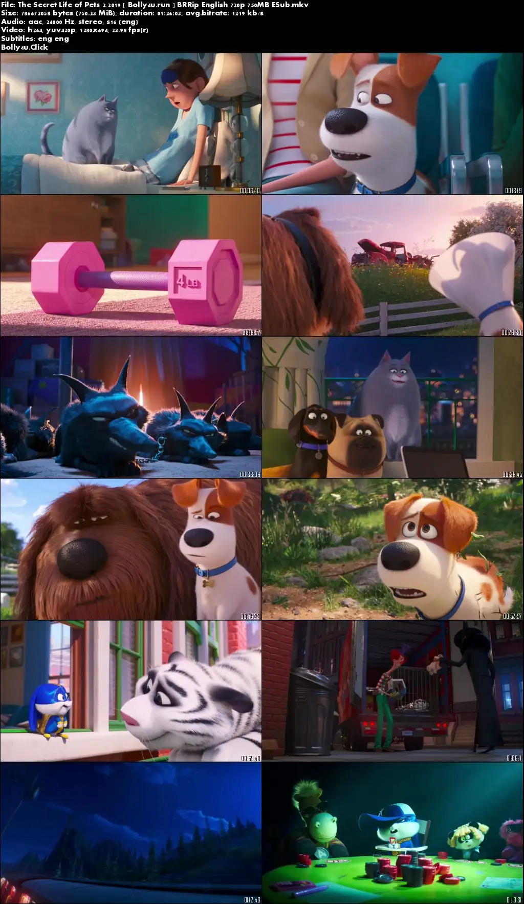 The Secret Life of Pets 2 2019 BRRip 250Mb English 480p ESub Download