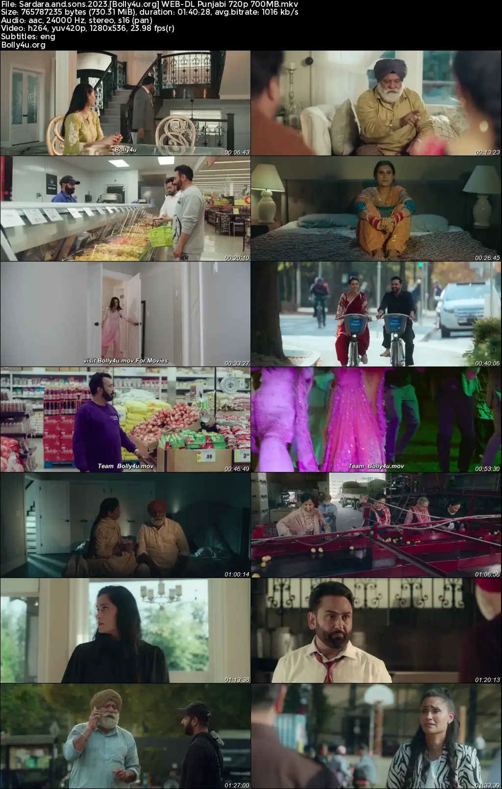 Sardara and Sons 2023 WEB-DL Punjabi Full Movie Download 1080p  720p  480p