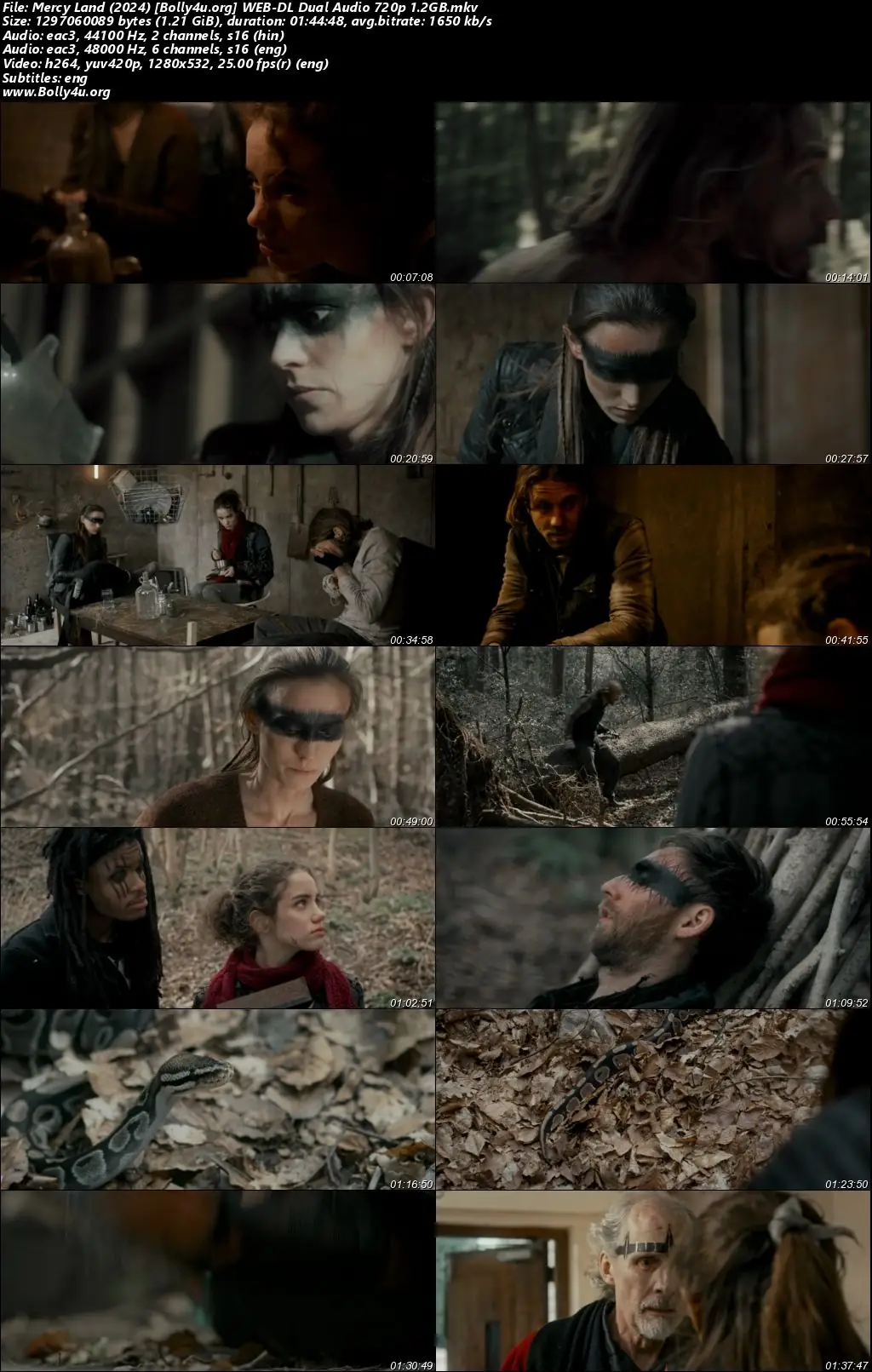 Mercy Land 2024 WEB-DL Hindi Dual Audio Full Movie Download 720p  480p