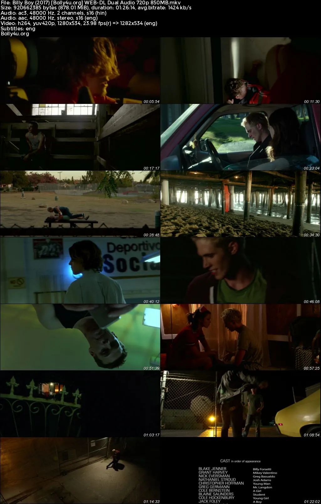 Billy Boy 2017 WEB-DL Hindi Dual Audio Full Movie Download 720p  480p