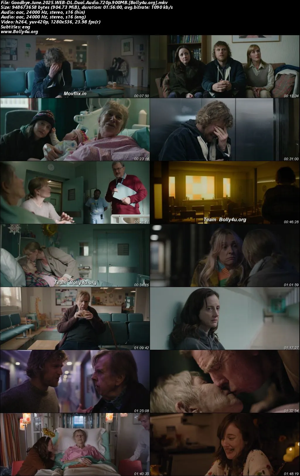 Goodbye June 2025 WEB-DL Hindi Dual Audio ORG Full Movie Download 1080p  720p  480p