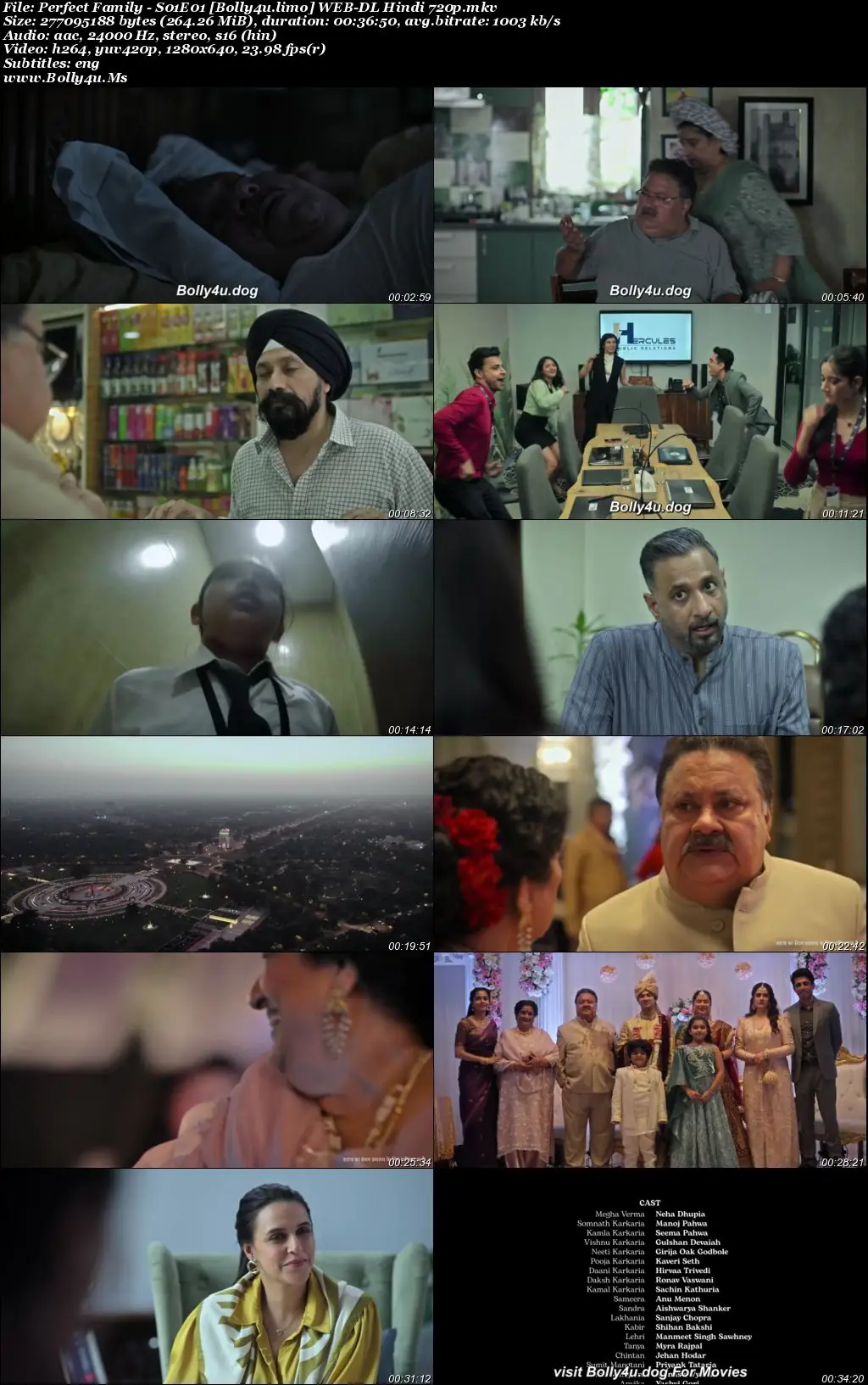Perfect Family 2025 WEB-DL Hindi S01 Complete Download 720p  480p