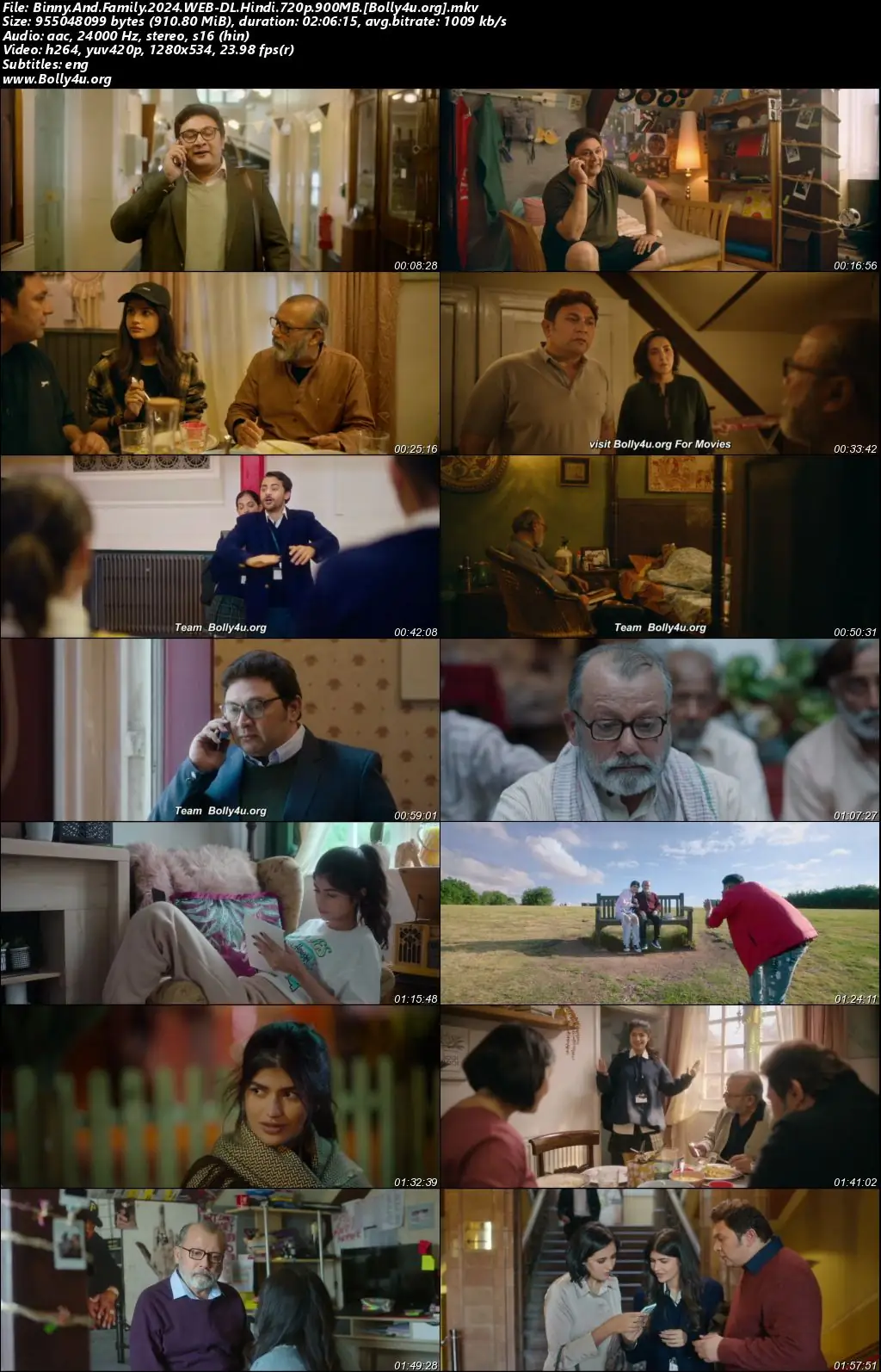 Binny And Family 2024 WEB-DL Hindi Full Movie Download 1080p  720p  480p