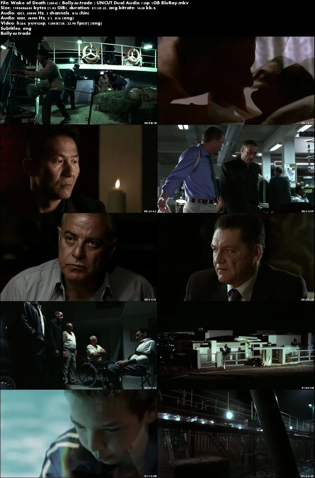 Wake of Death 2004 BluRay 1GB UNCUT Hindi Dual Audio 720p Download
